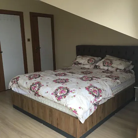 Naila Daira نايلا Kocaeli